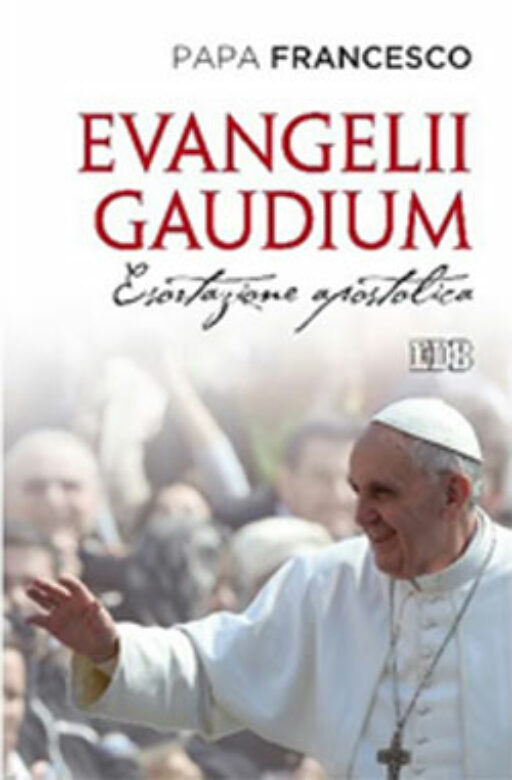 Evangilii Gaudium, n°66/67 (pour bien commencer notre année familiale missionnaire)
